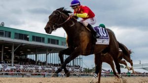 Preakness Betting Sites 2018 Quip