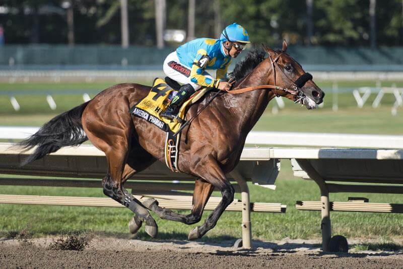 American Pharoah Horse