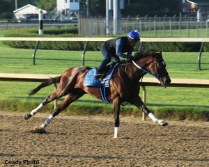 2018 Belmont Stakes Betting Sites - Tenfold