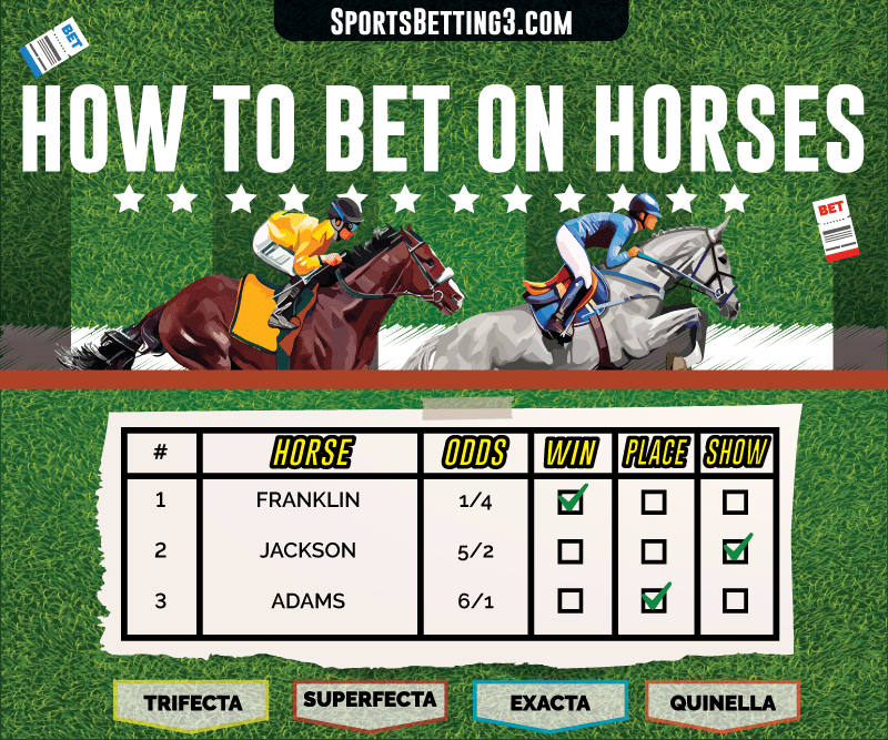 How To Bet On Horses And Win