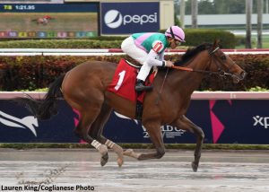 Belmont Stakes Betting Sites