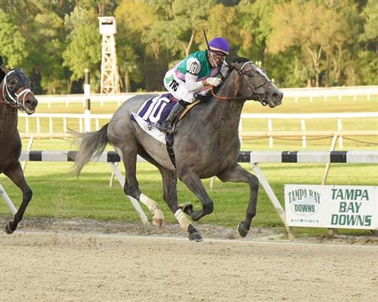 Belmont Stakes Betting Sites