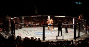 silva weidman ufc 162