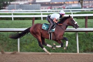 2020 Kentucky Derby Trifecta Picks - Tiz The Law