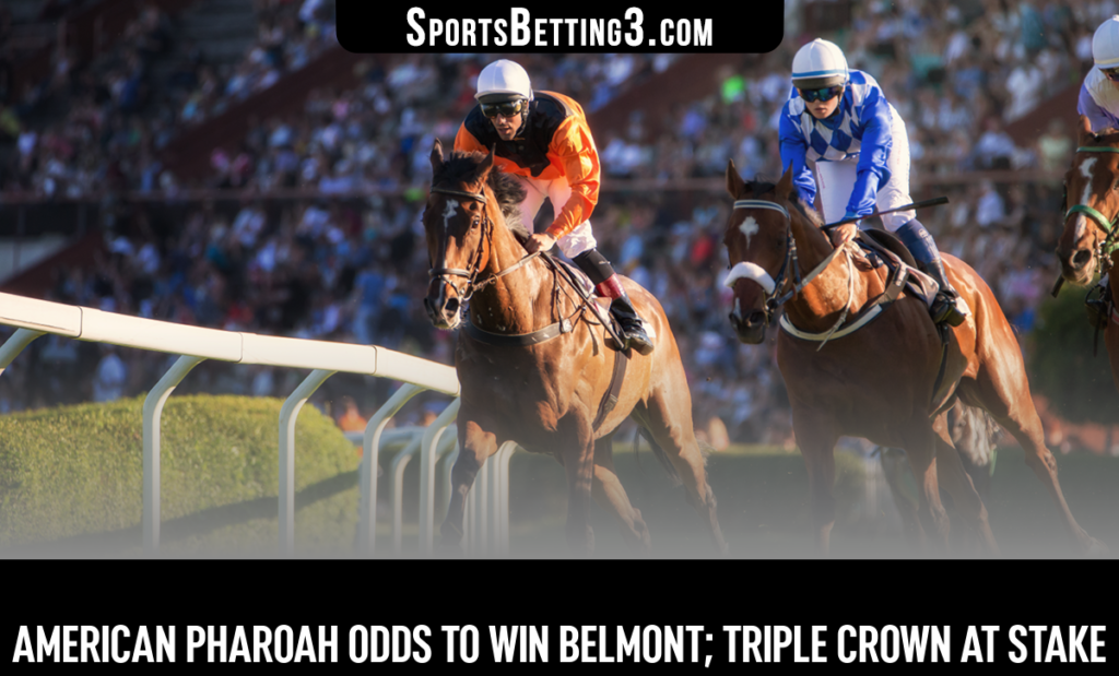 American Pharoah Odds To Win Belmont; Triple Crown At Stake