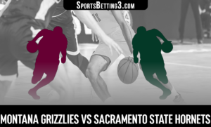 Montana vs Sacramento State Betting Odds