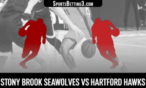 Stony Brook vs Hartford Betting Odds