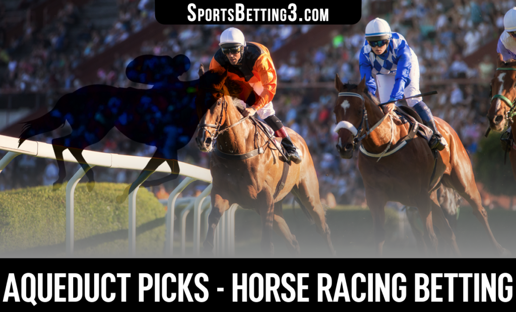 Aqueduct Picks - Horse Racing Betting