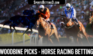Woodbine Picks - Horse Racing Betting
