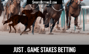 2022 Just . Game Stakes Betting