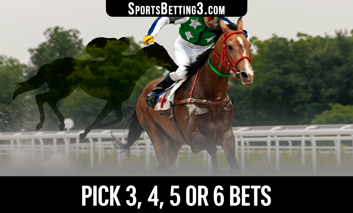 What Is A Pick 3, 4 or 6 In Horse Betting — Pick Bets Explained