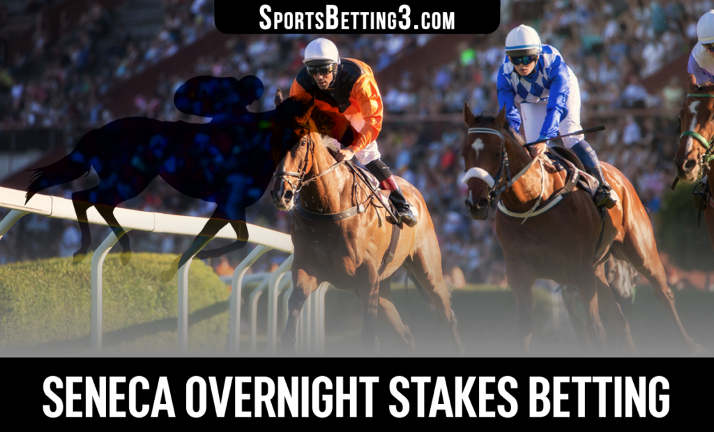 Seneca Overnight Stakes Betting