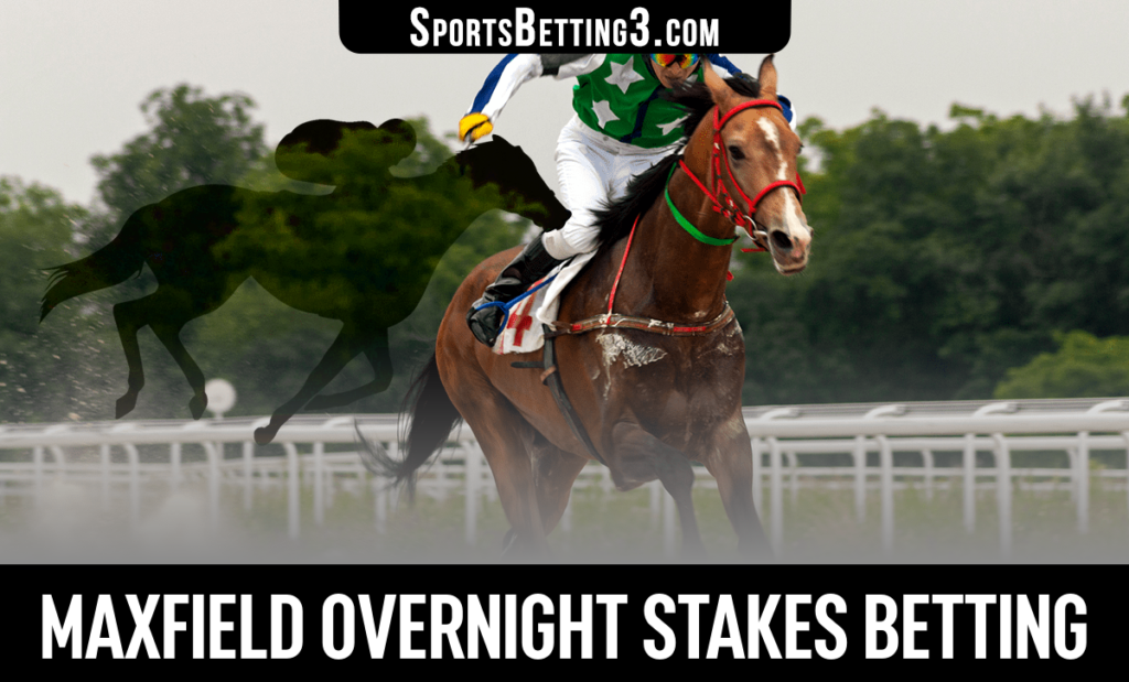 Maxfield Overnight Stakes Betting