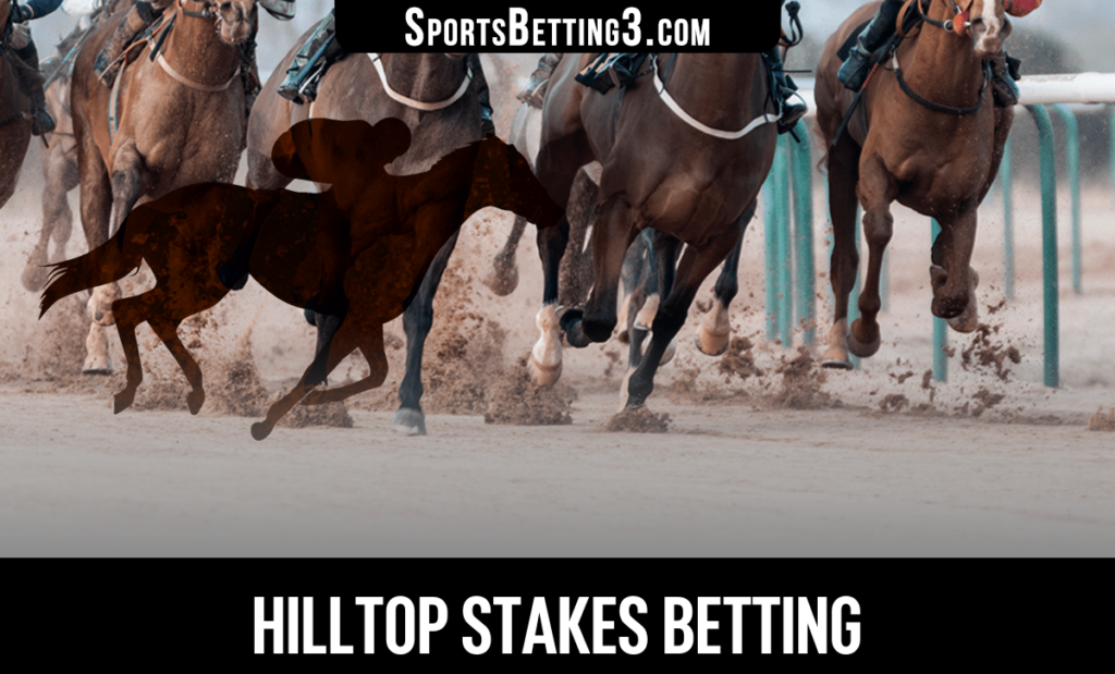 Hilltop Stakes Betting